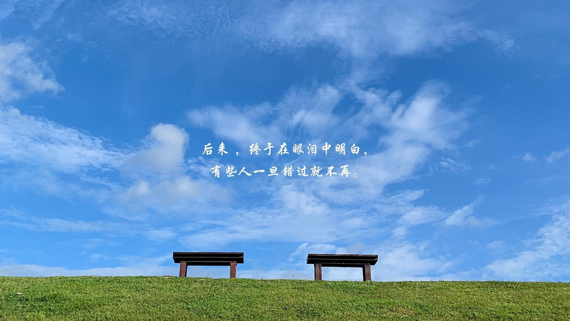 _山地自行车极限赛：穿越丛林，极速狂飙_，山地自行车越野赛