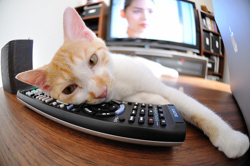 _岛屿赛事：海上、沙滩双重挑战_，有沙滩的岛屿