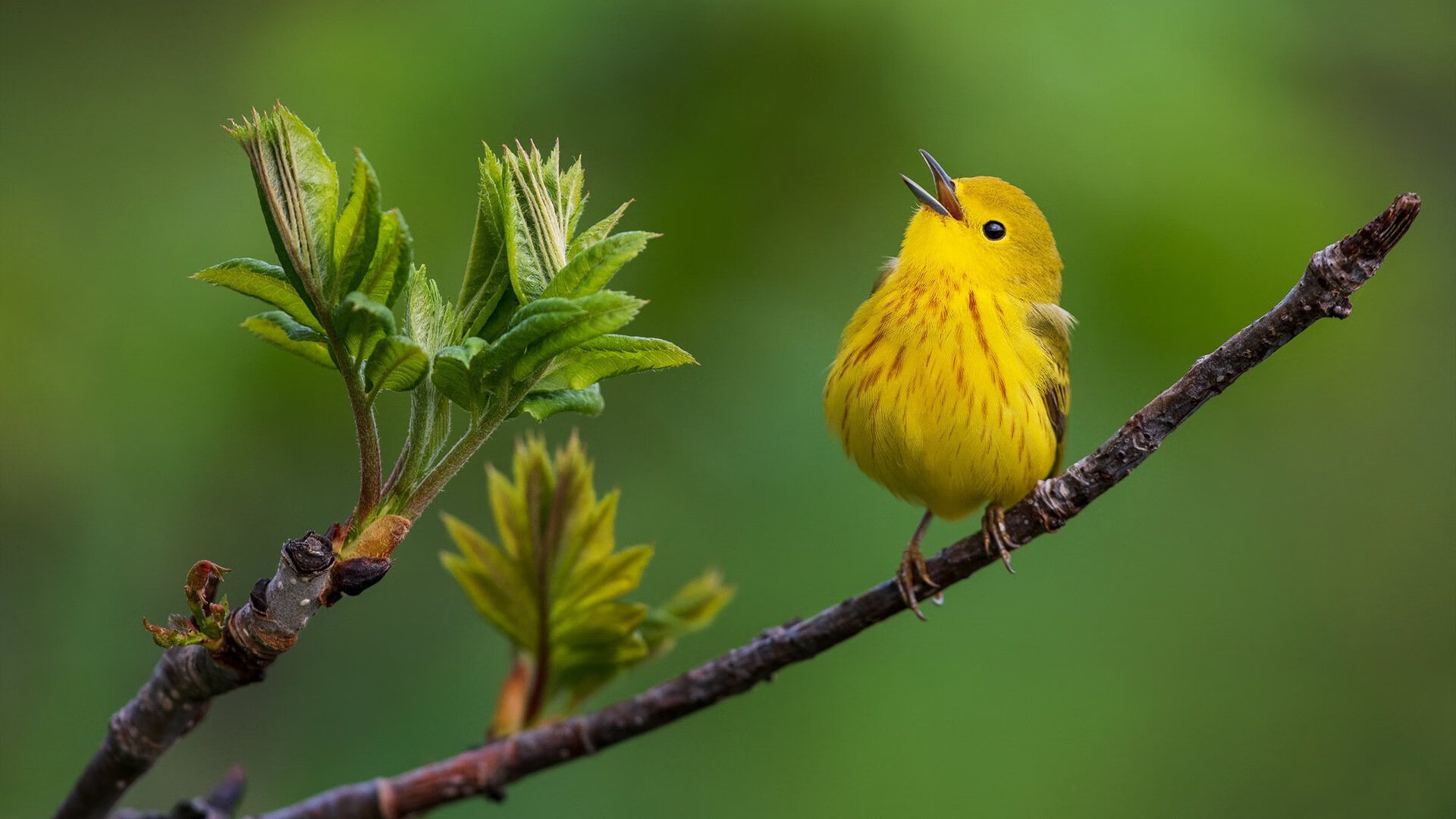 _未来运动基地：科技与自然的完美结合_，未来的运动是什么样的
